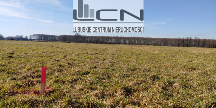 Działka Sprzedaż Bolemin 1