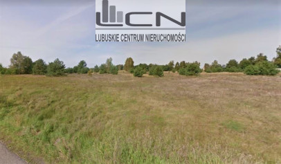 Działka Sprzedaż Goszczanowiec