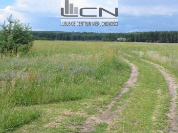 Działka Sprzedaż Witnica