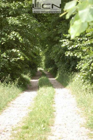 Działka Sprzedaż Stanowice