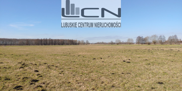Działka Sprzedaż Bolemin 5
