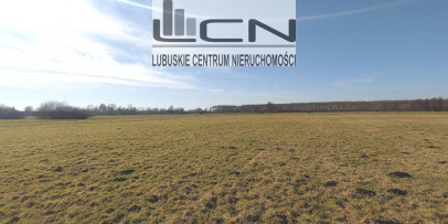 Działka Sprzedaż Bolemin