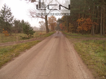 Działka Sprzedaż Goszczanowiec