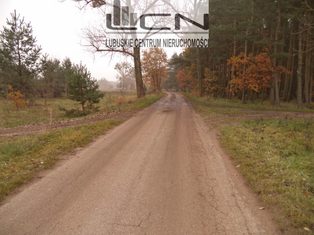 Działka Sprzedaż Goszczanowiec 2