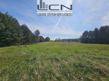 Działka Sprzedaż Lubiszyn