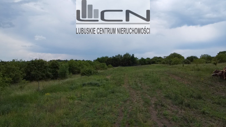 Działka Sprzedaż Myślibórz 4