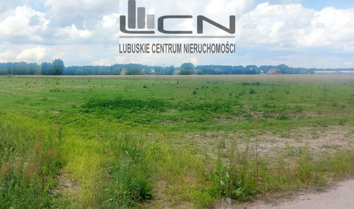 Działka Sprzedaż Dziersławice 1