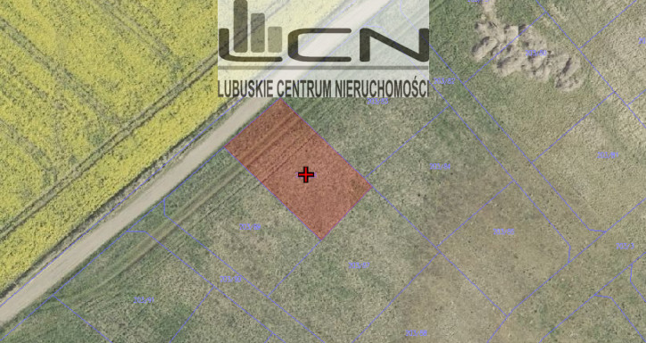 Działka Sprzedaż Murzynowo 4