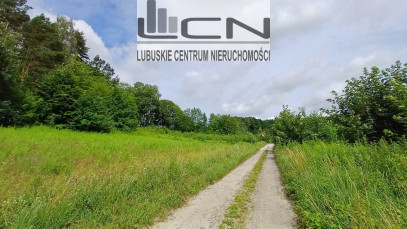 Działka Sprzedaż Jenin